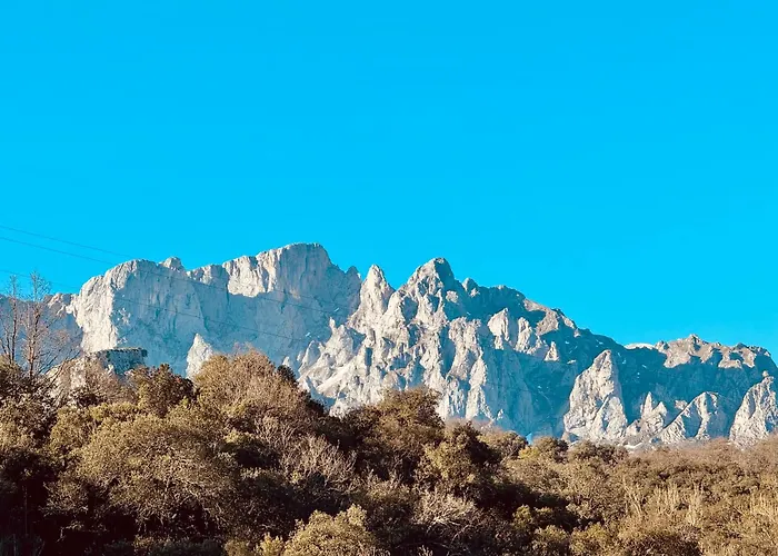 El Rincon, Valle De * 卡马勒洛